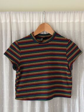 Rainbow Striped Short Sleeve Crop Top